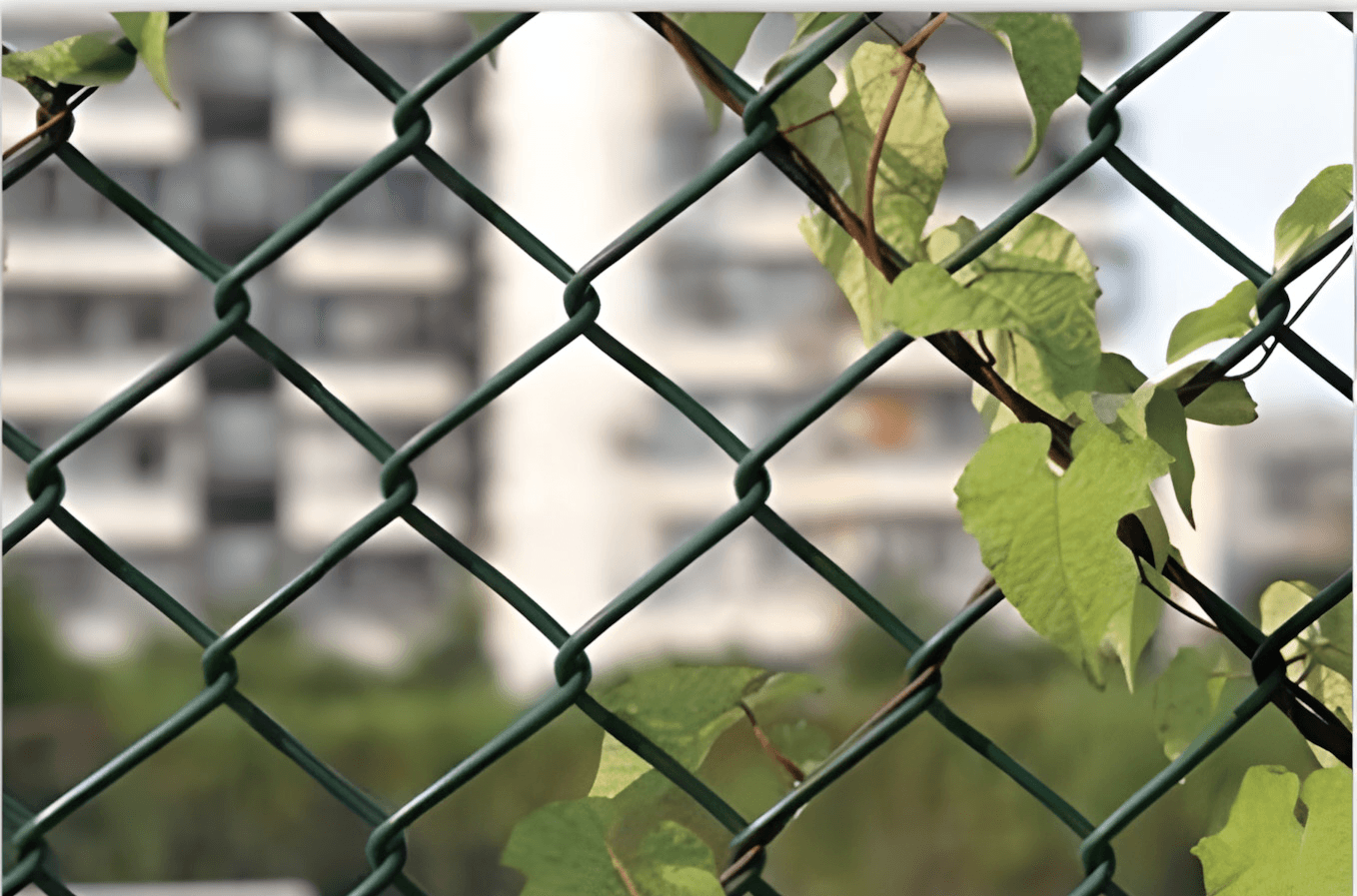 Powder Coated Chain Link Fence