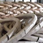 Concertina Razor Wire