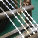 Concertina Razor Wire