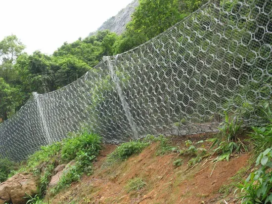 Double-Twisted Hexagonal Wire Mesh Manufacturer - Image 10