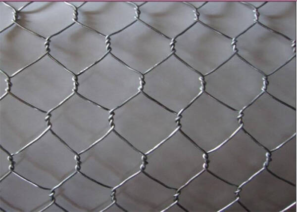 Galvanized Chicken Wire Mesh