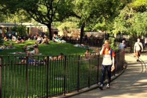 Tubular Steel Fence For Garden Park