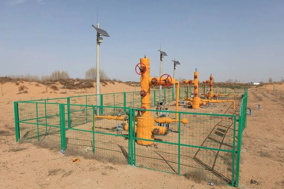 Welded Wire Mesh Panel For Oilfield Fence